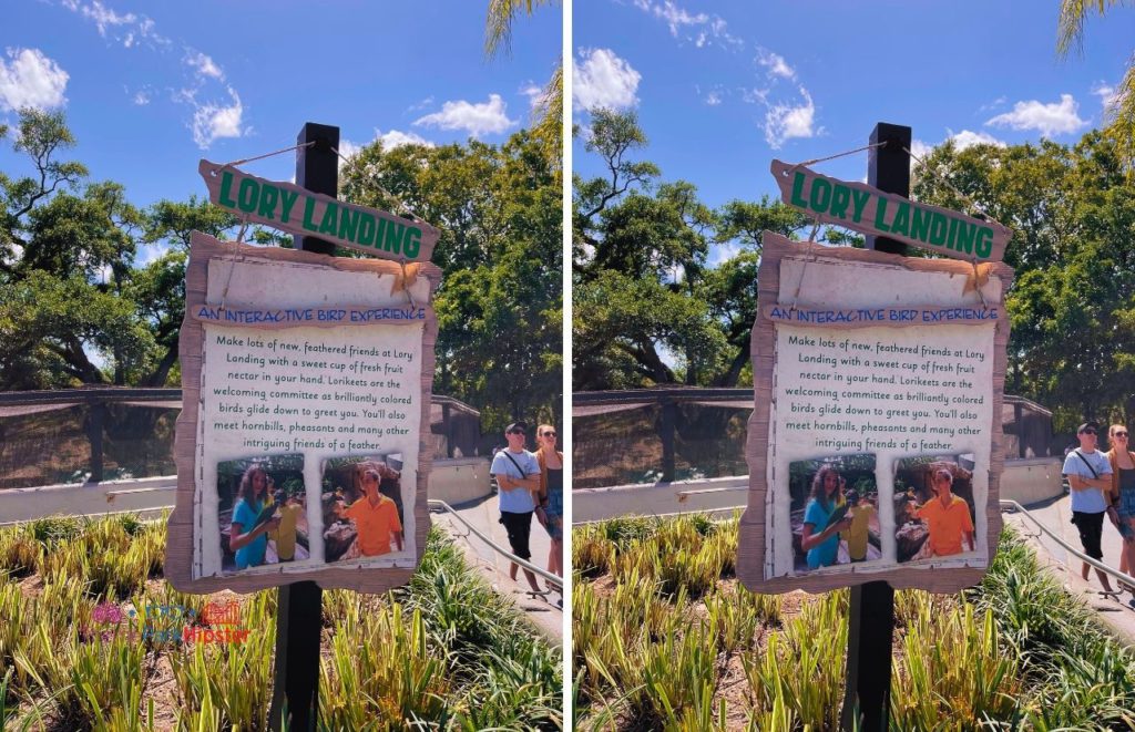 Busch Gardens Tampa Bay Lory Landing Bird Experience