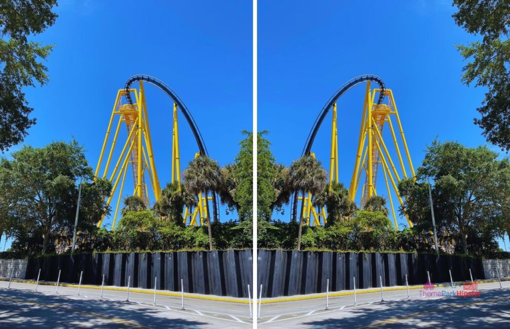 Busch Gardens Tampa Bay Montu Roller Coaster Side By Side View. One of the must do at Busch Gardens Tampa.