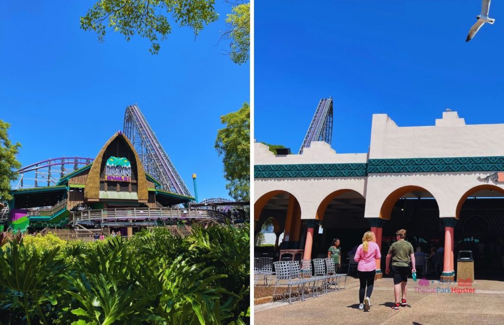 Busch Gardens Tampa Bay New Iron Gwazi Roller Coaster