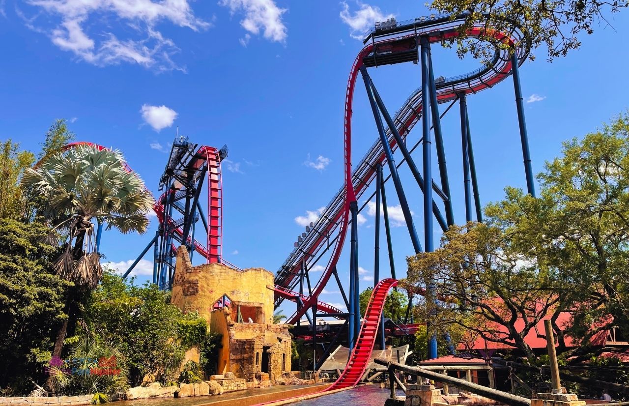 Busch Gardens Tampa Bay Sheikra drop. One of the best roller coasters at Busch Gardens Tampa.