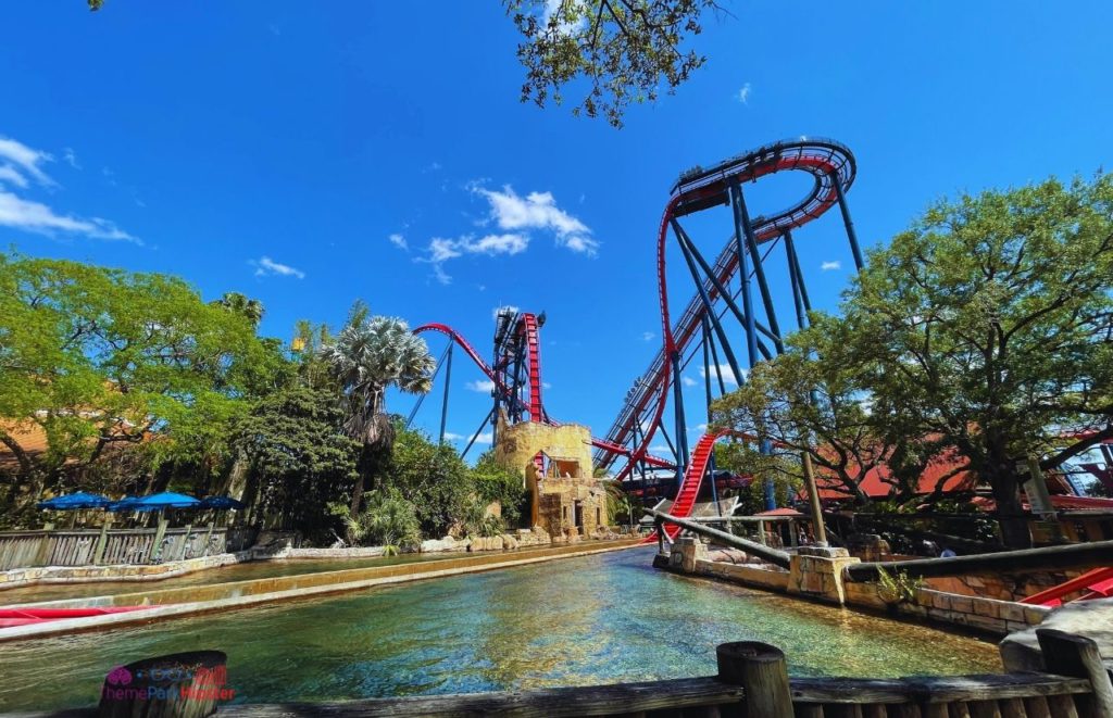Busch Gardens Tampa Bay Sheikra roller coaster. Keep reading to learn more about avoiding the Busch Gardens Tampa wait times and if the Busch Gardens Tampa Queue Pass is worth it...