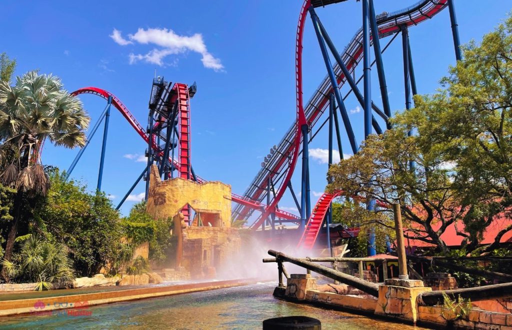 Busch Gardens Tampa Bay Sheikra splash. Keep reading to learn how to find cheap Busch Gardens tickets.