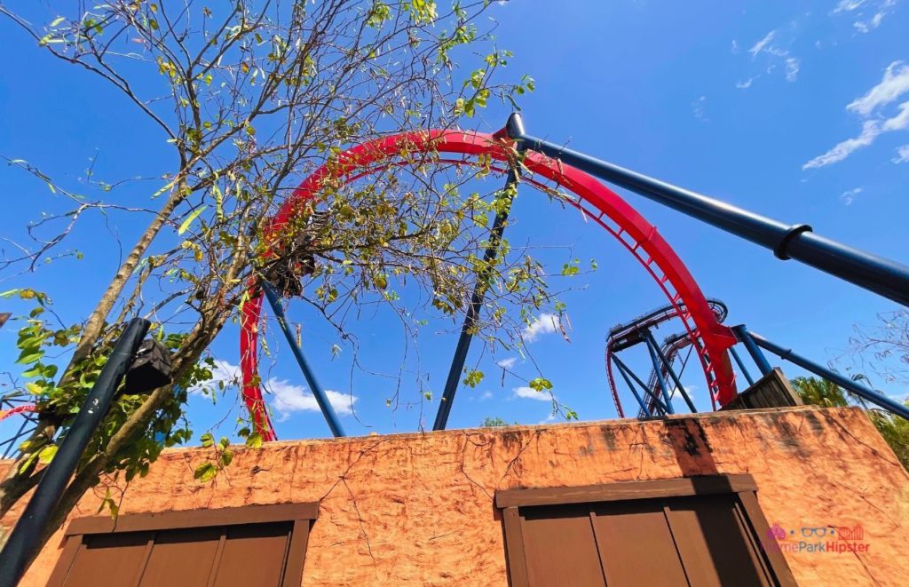 Busch Gardens Tampa Sheikra Roller Coaster