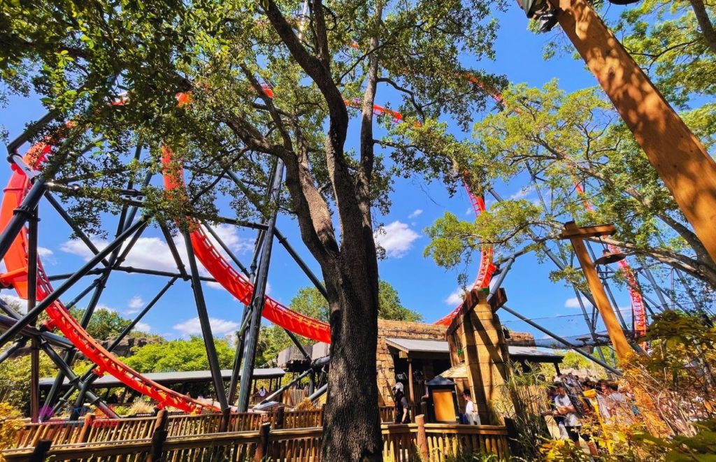 Busch Gardens Tampa Bay Tigris. One of the best rides at Busch Gardens Tampa Bay Florida.