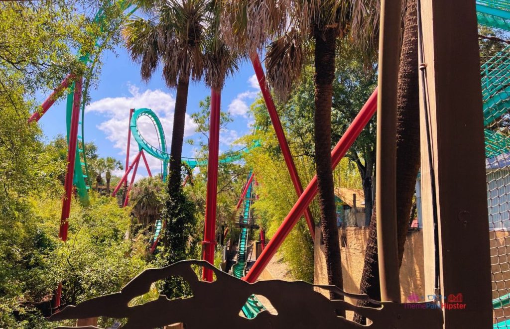 Busch Gardens Tampa Bay beautiful Kumba roller coaster