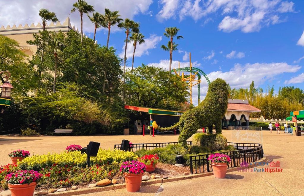 Busch Gardens Tampa Bay tiger topiary in front of cheetah hunt. Keep reading for more tips on the Busch Gardens Tampa All Day Dining Deal.