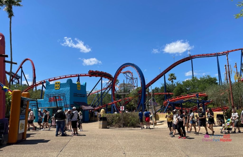 Busch Gardens Tampa Bay wide shot of scorpion roller coaster. Keep reading to know where to find cheap tickets for theme parks in Florida.