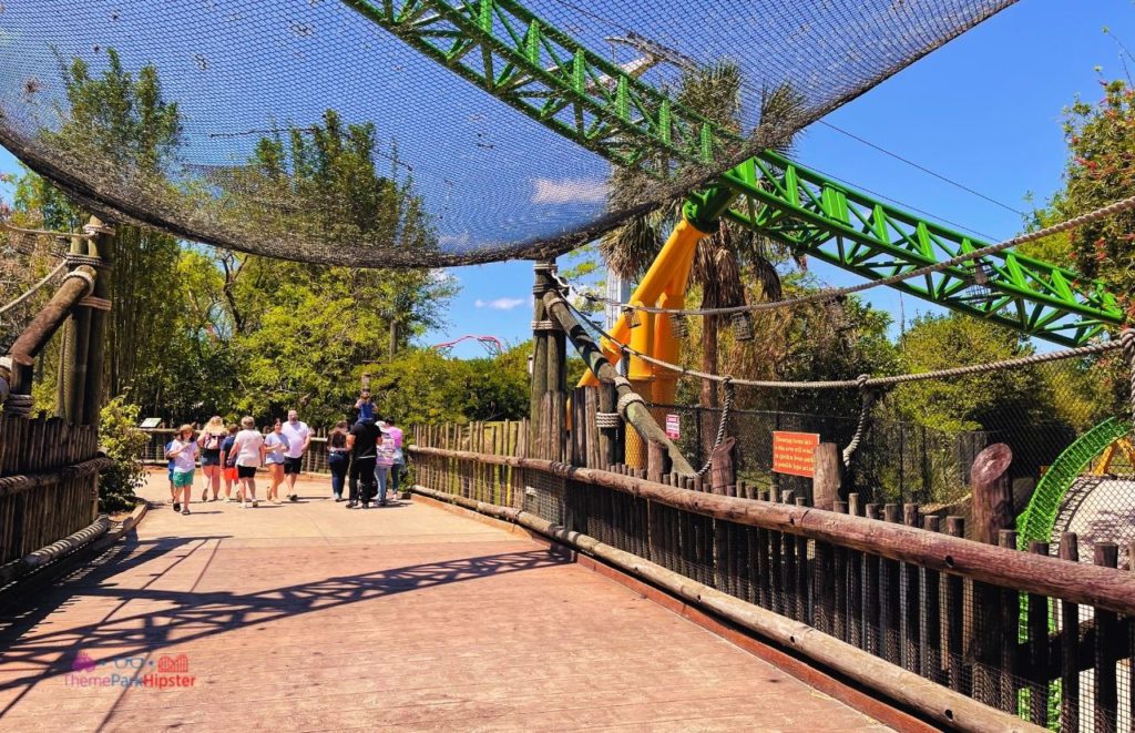 Busch Gardens Tampa Cheetah Hunt Crossing over bridge