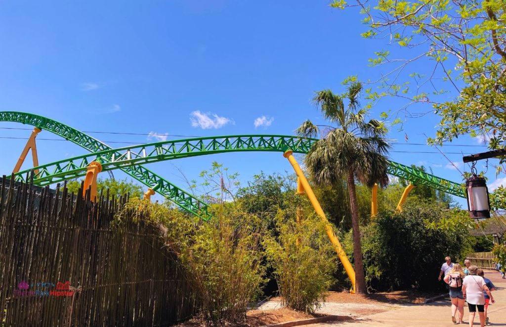 Busch Gardens Tampa Cheetah Hunt roller coaster green track Things to do at Busch Gardens Tampa.