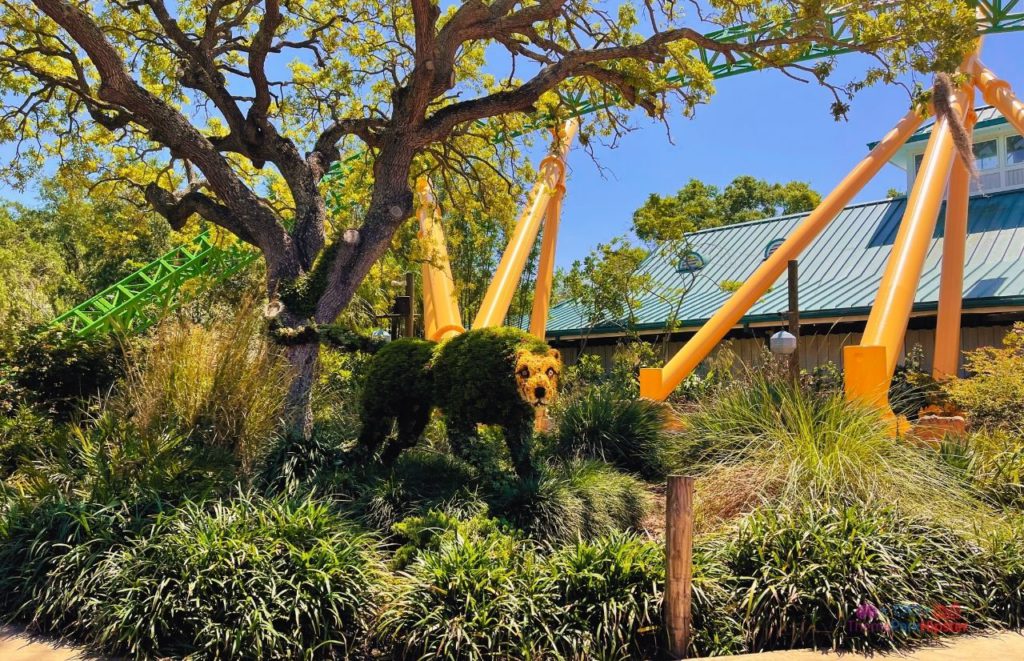 Busch Gardens Tampa Cheetah Hunt topiary