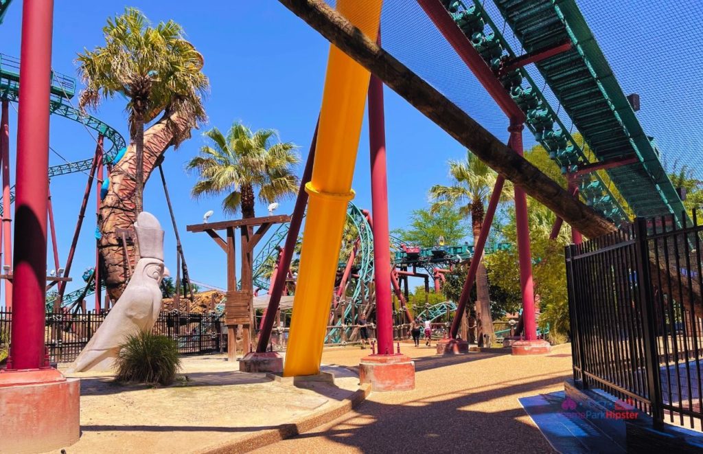 Busch Gardens Tampa Cobra's Curse Roller Coaster