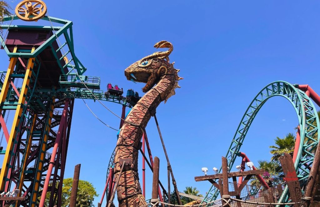 Busch Gardens Tampa Cobra's Curse drop. Keep reading to know where to find cheap tickets for theme parks in Florida.