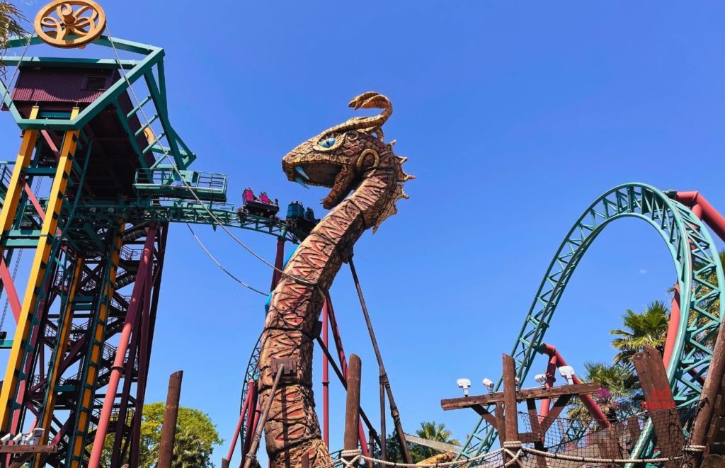 Busch Gardens Tampa Cobra's Curse with roller coaster riders at the drop point at the face of the cobra. Keep reading to discover more about Busch Gardens Tampa animals.