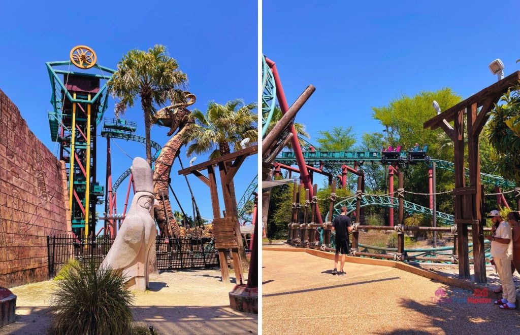 Busch Gardens Tampa Cobra's Curse train. One of the best roller coasters at Busch Gardens Tampa.