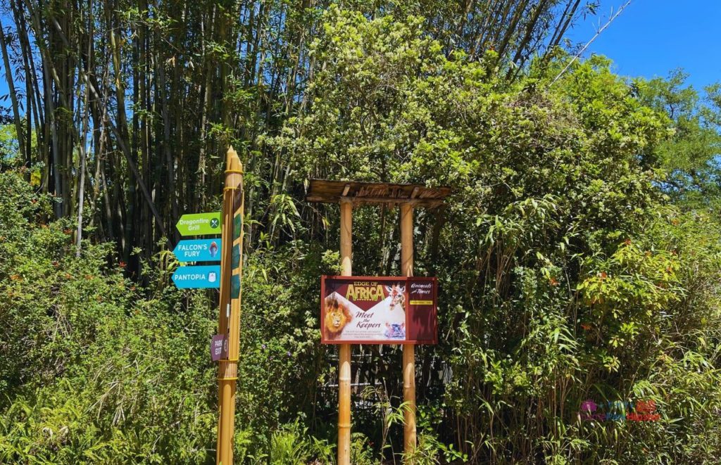 Busch Gardens Tampa Edge of Africa entrance with signage for different areas in the park surrounded by trees. Keep reading to find out all there is to know about Busch Gardens Tampa animals. 