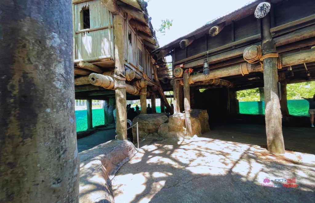 Busch Gardens Tampa Edge of African Hippos and aquarium viewing. Keep reading to find out all there is to know about Busch Gardens Tampa animals. 