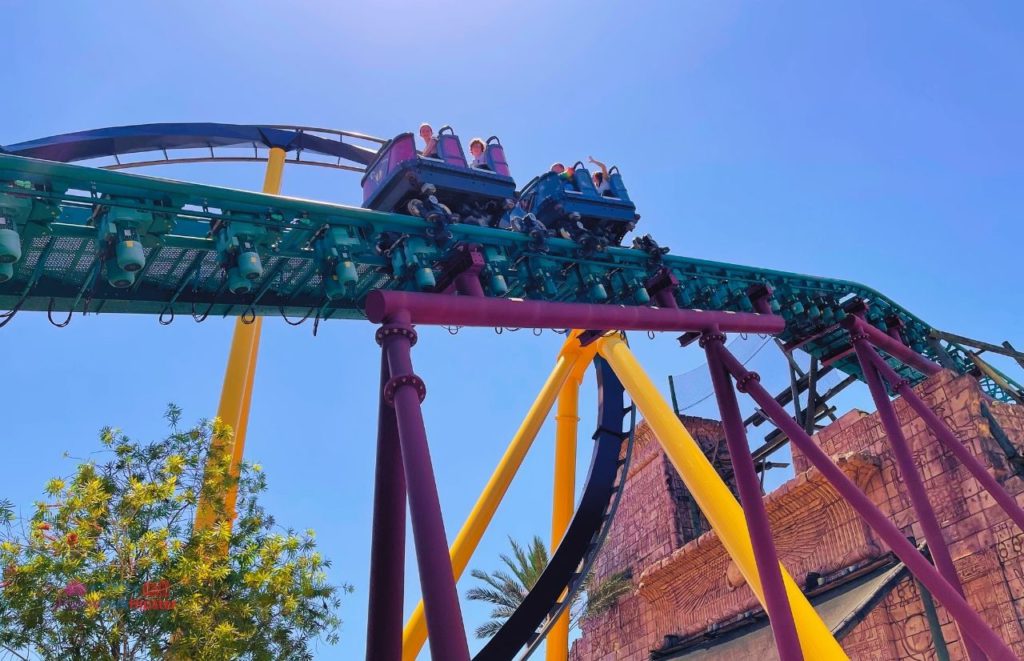 Busch Gardens Tampa Montu and Cobra's Curse with theme park guests high up on the track. Keep reading to find out more about the best hotels near Busch Gardens Tampa.