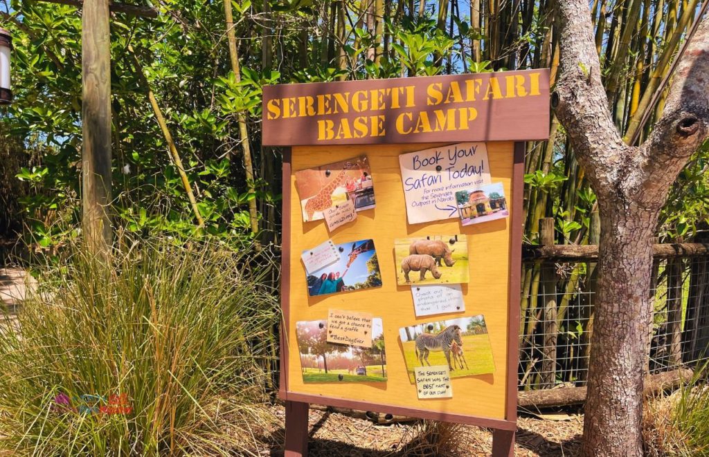 Busch Gardens Tampa Serengeti Safari Base Camp with signage featuring the exotic wildlife. Keep reading to discover more about Busch Gardens Tampa animals.