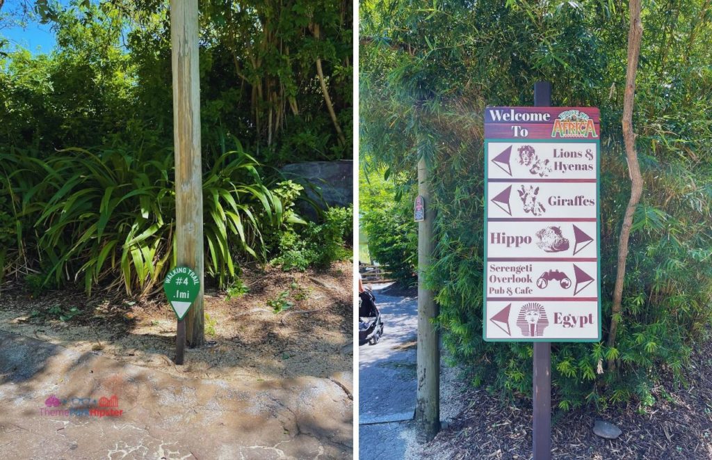 Busch Gardens Tampa Walking Trail Mile and The Edge of Africa. One of the must do at Busch Gardens Tampa.