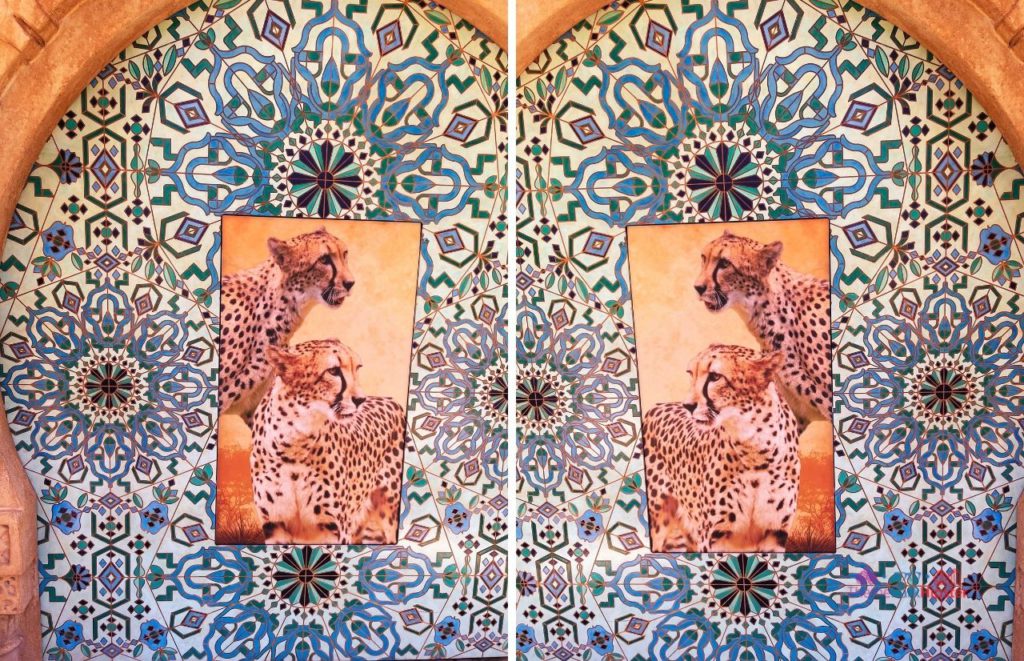 Busch Gardens Tampa cheetah hunt mosaic