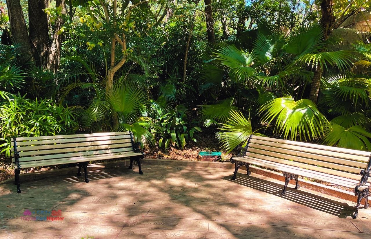 Busch Gardens Tampa shaded seating area in the gorilla area Myombe Reserve