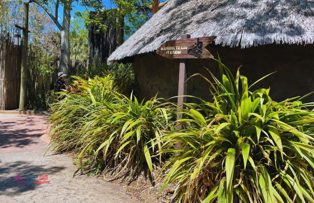 Busch Gardens Tampa sign for Nairobi Train Station surrounded by big bushy greenery and a thatched roof building. Keep reading to learn more about Busch Gardens Tampa animals.