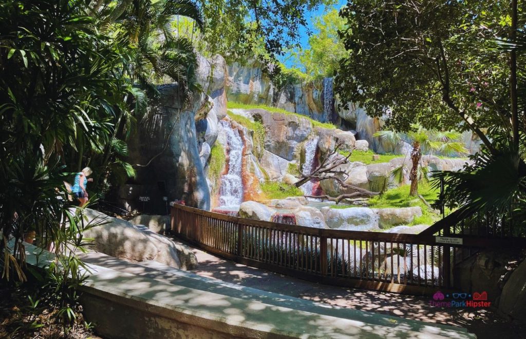 Busch Gardens Tampa waterfall area in Gorilla section relaxing shade Myombe Reserve. Keep reading to get the Groupon Busch Gardens Tampa Deals.