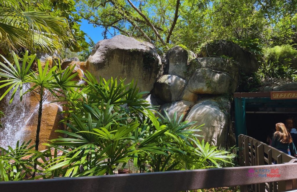 Busch Gardens Tampa waterfall relaxing area Myombe Reserve