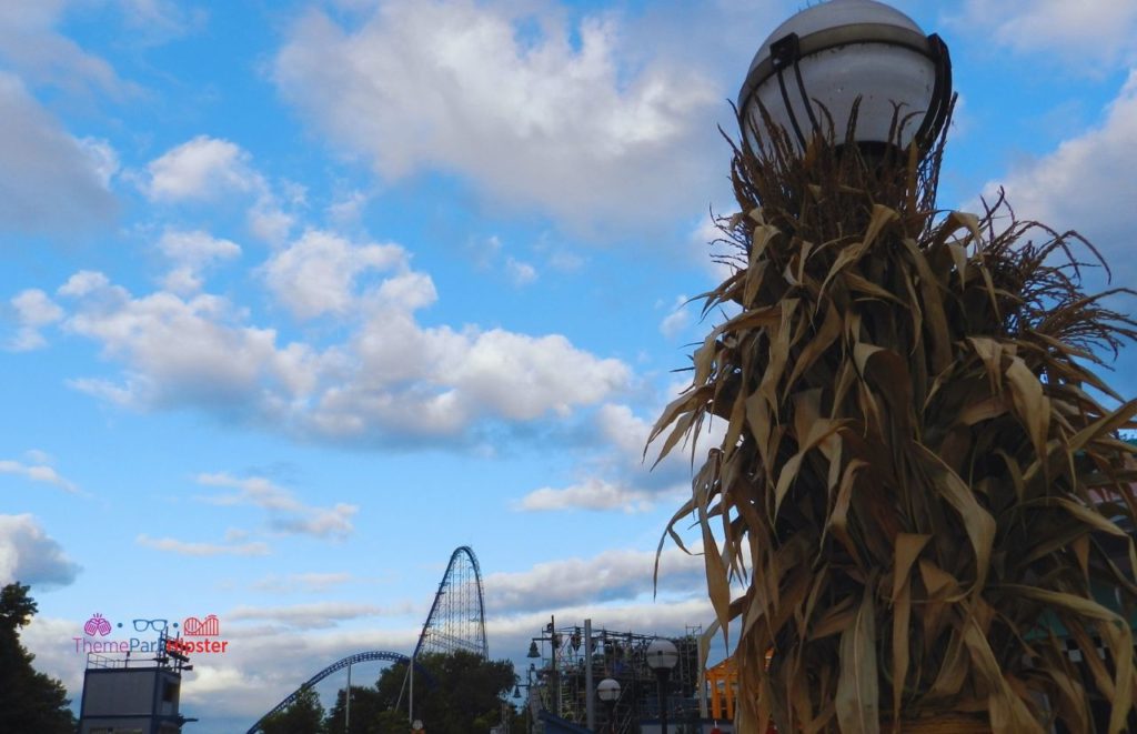 Cedar Point Sunrise over roller coaster Millennium Force