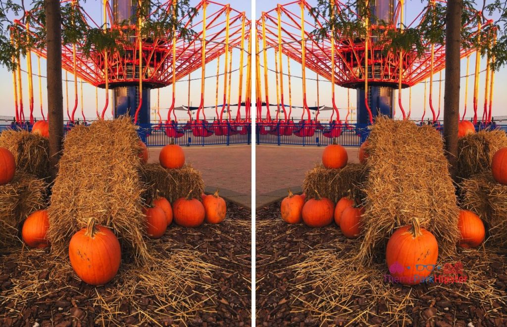 Cedar Point Windseeker Swing with pumpkins during Halloweekends. Keep reading for more Cedar Point tips and tricks for beginners.