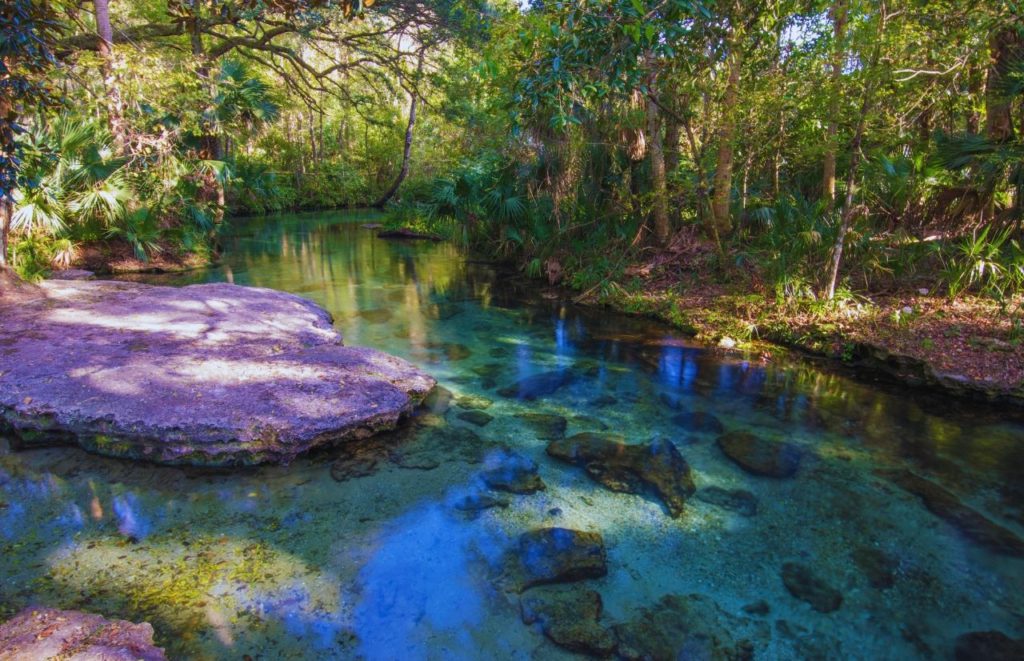 Rock Springs, Florida Day Trips from Orlando