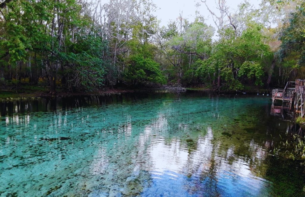 Rock Springs Florida Day Trips from Orlando