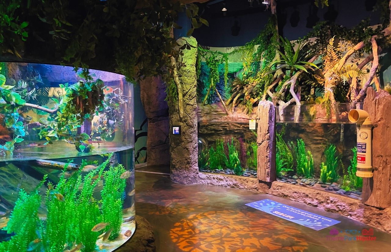 SeaLife Aquarium Orlando at Icon Park