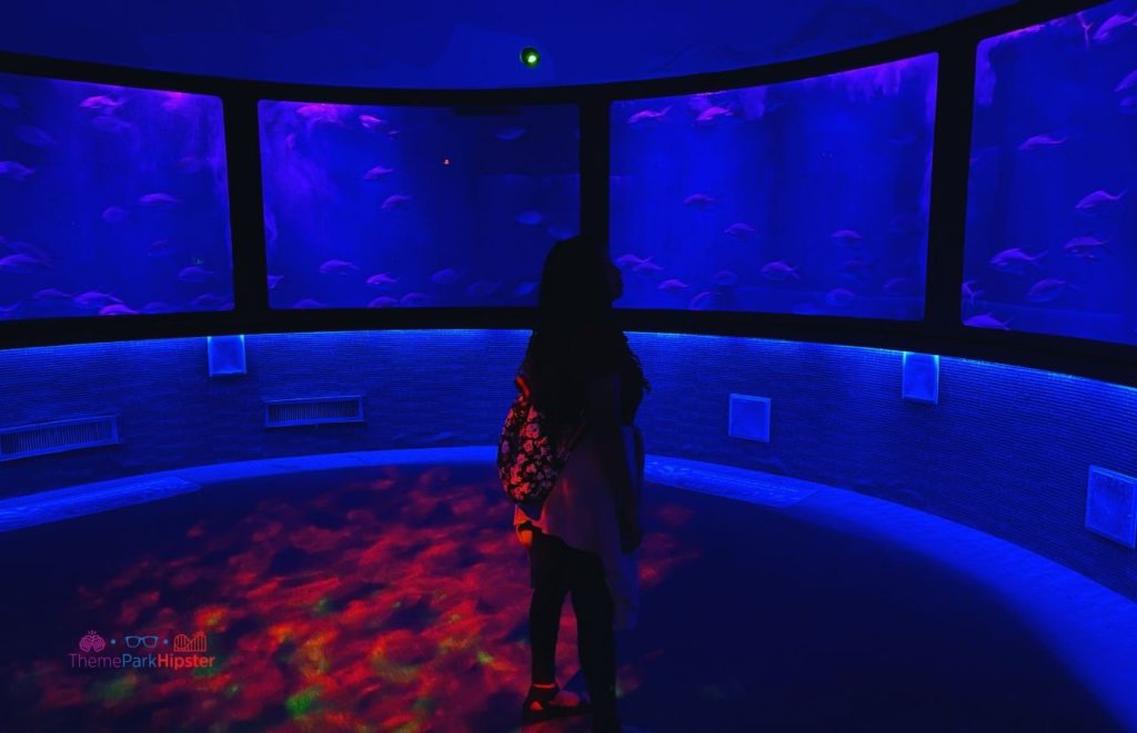 SeaLife Aquarium Orlando at Icon Park with woman silhouette