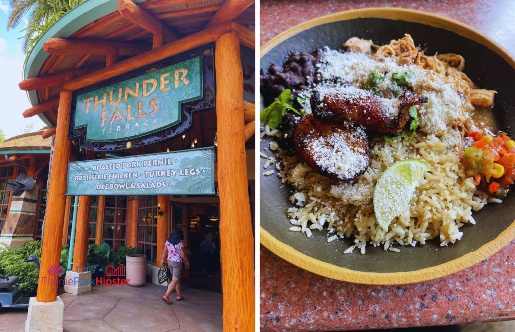 Universal Orlando Resort Thunder Falls Terrace in Jurassic Park in Islands of Adventure Entrance with Chicken Rice Bowl. Keep reading to get the best Universal Islands of Adventure tips and tricks.