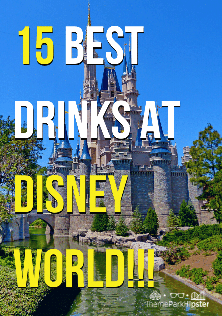Cinderella Castle 15 Best drinks at disney world!!!