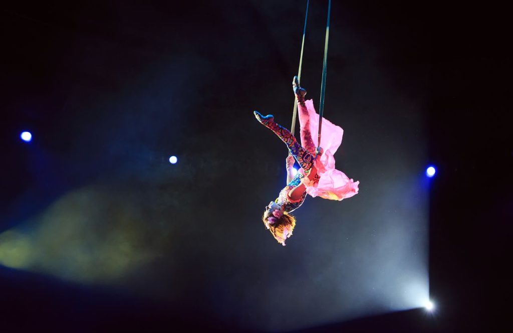 Acrobat Busch Gardens Cirque X Scream