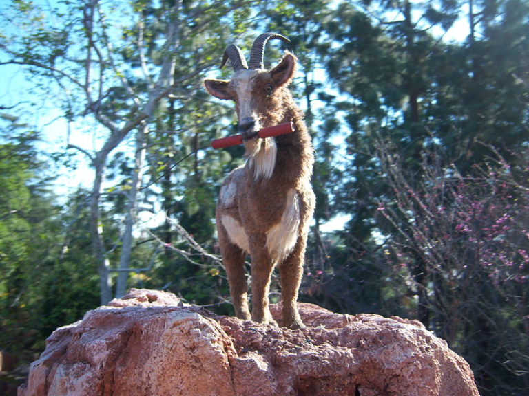 33 Weird (but true) Best Kept Secrets of Disneyland You MUST Know