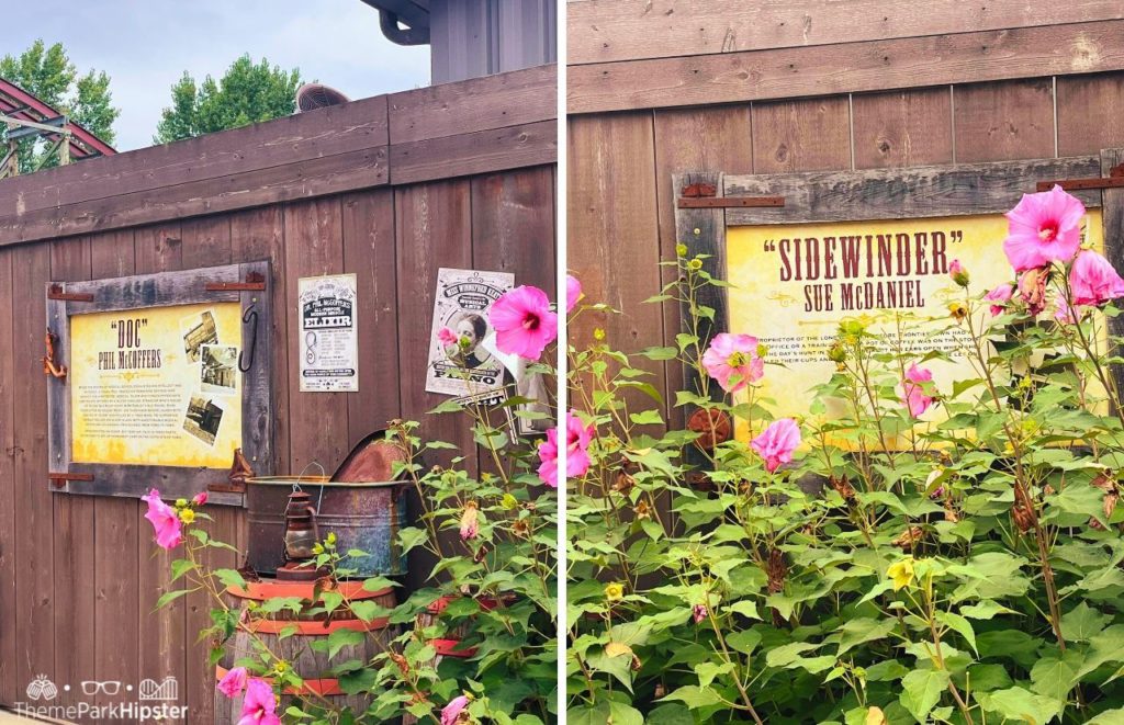 Cedar Point Steel Vengeance Roller Coaster Doc Phil and Sidewinder Sue McDaniel Posters