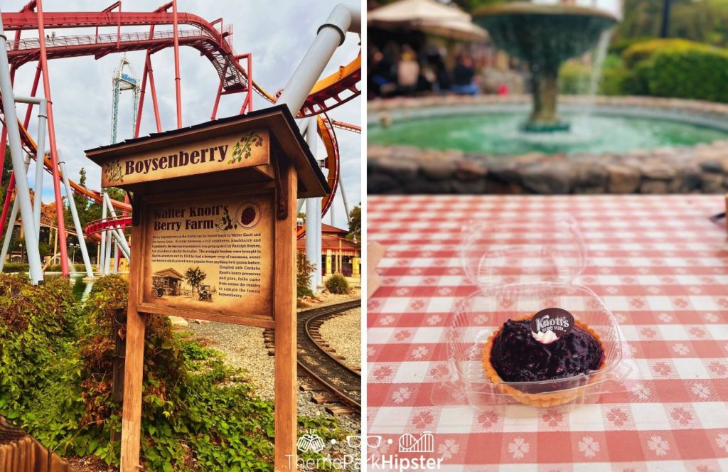 2024 Boysenberry Pie History next to Silver Bullet Red Roller Coaster Knott's Berry Farm at Halloween Knott's Scary Farm. Keep reading to get the best food at Knott's Berry Farm and the best things to eat.