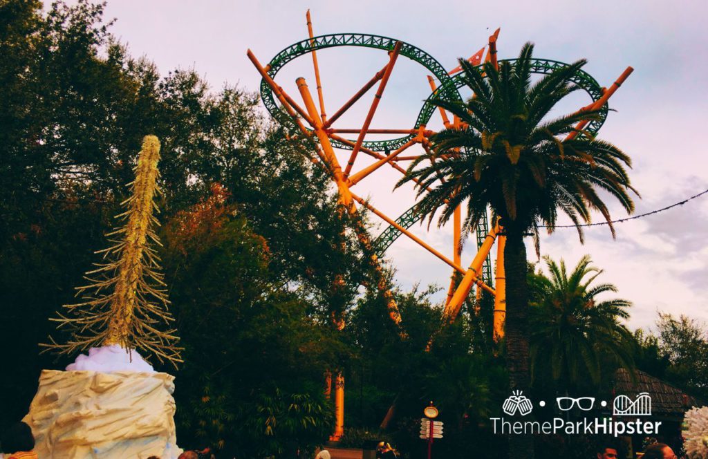 Cheetah Hunt Roller Coaster during Busch Gardens Christmas Town