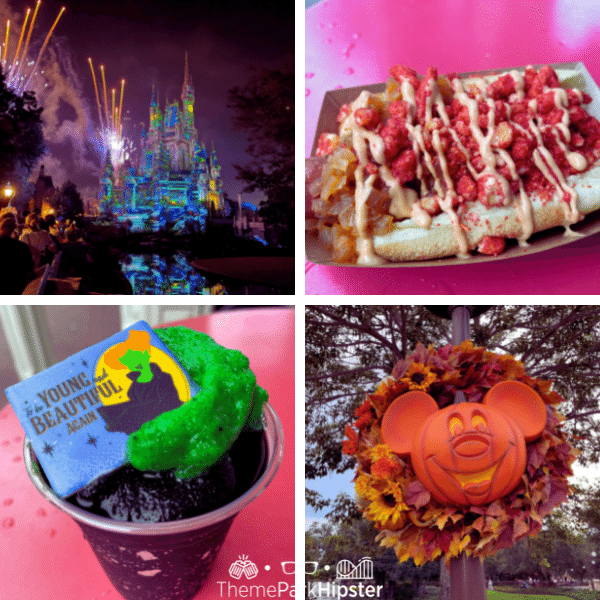 2023 Fireworks and Food at Mickey Not So Scary Halloween Party Food Keep reading for more Halloween at Disney things to do and events with fall decor.