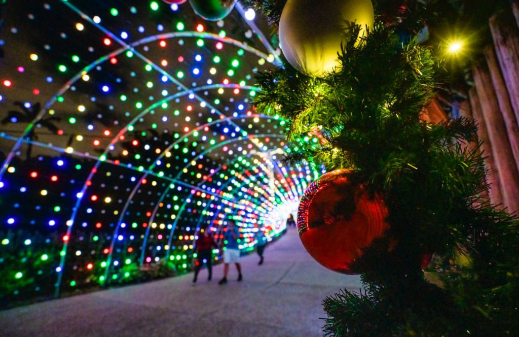 Holiday Light Tunnel at Busch Gardens Christmas Town. eep reading to learn about doing Thanksgiving Day at Busch Gardens Tampa Bay!