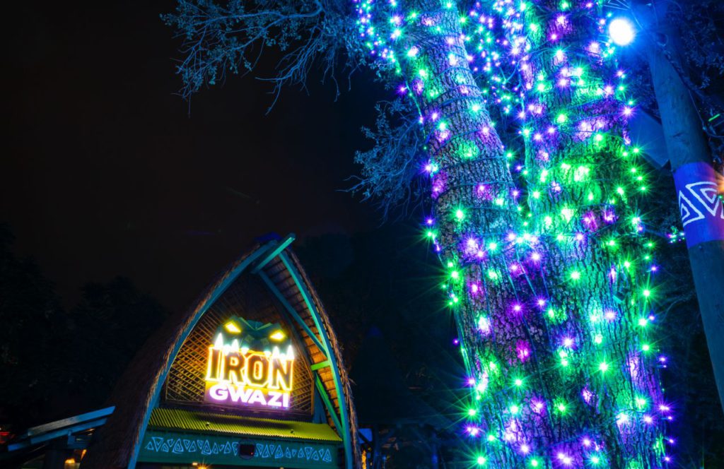 Iron Gwazi Roller Coaster in front of Holiday Day lights at Busch Gardens Christmas Town. Keep reading to get the full guide on doing Christmas at Busch Gardens Tampa!