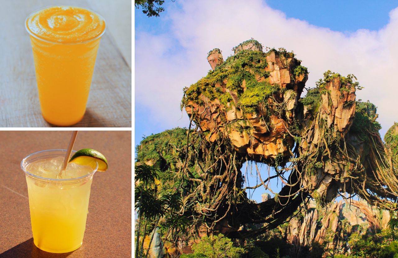 7 Best Drinks at Animal Kingdom You MUST Try (2023) - ThemeParkHipster