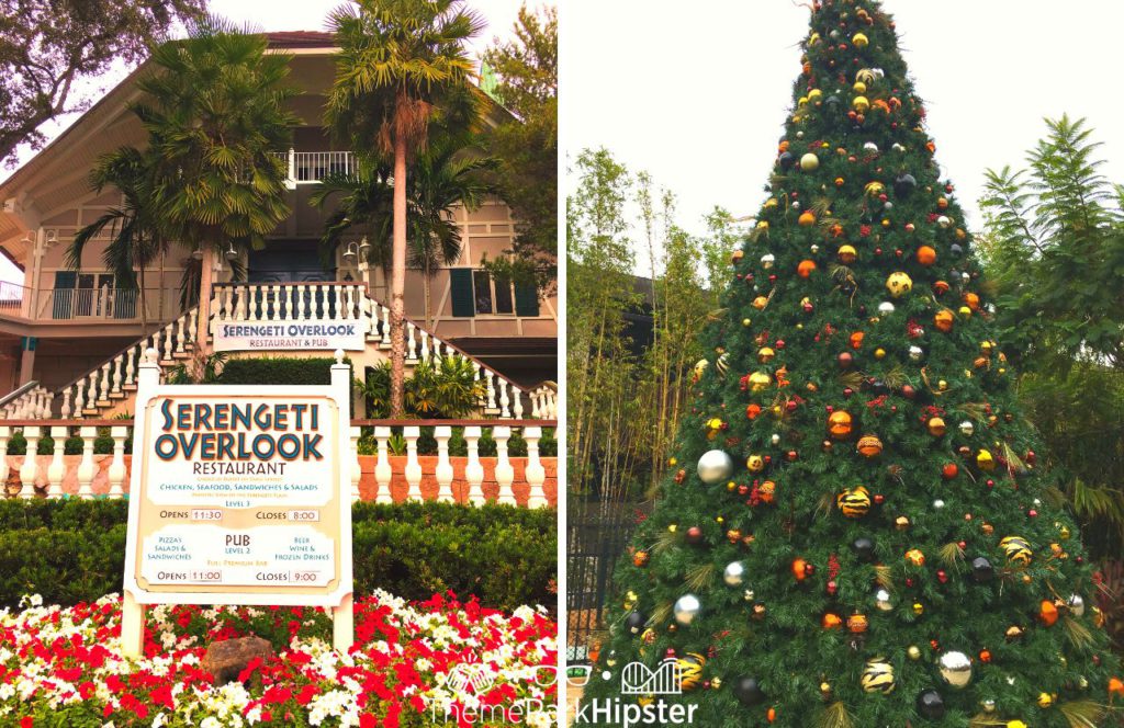 Serengeti Overlook at Busch Gardens Christmas Town. Keep reading to get the full guide on doing Christmas at Busch Gardens Tampa!