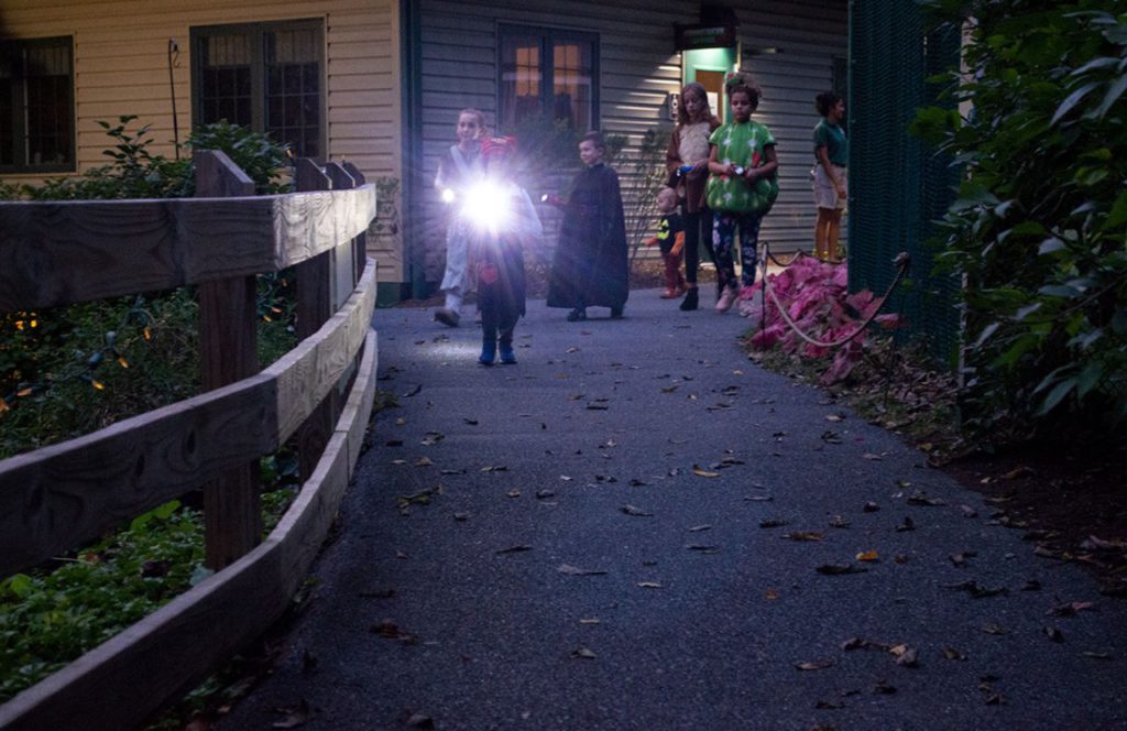 ZooAmerica Creatures Of The Night Halloween at Hersheypark Dark Nights