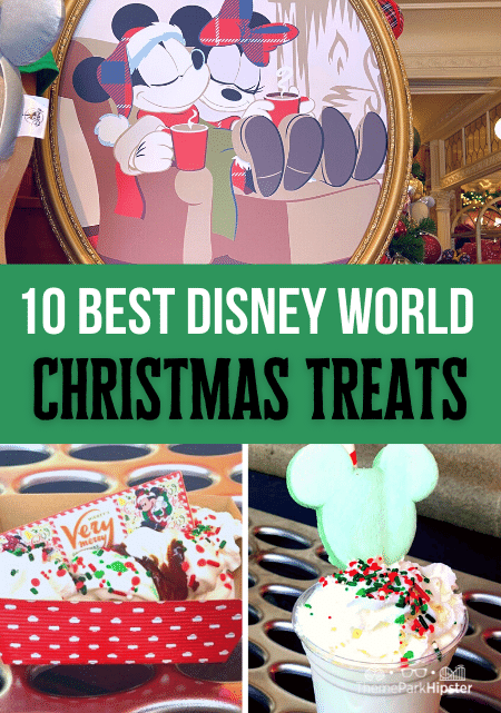 Best Disney World Holiday and Christmas Treats Foodie Guide