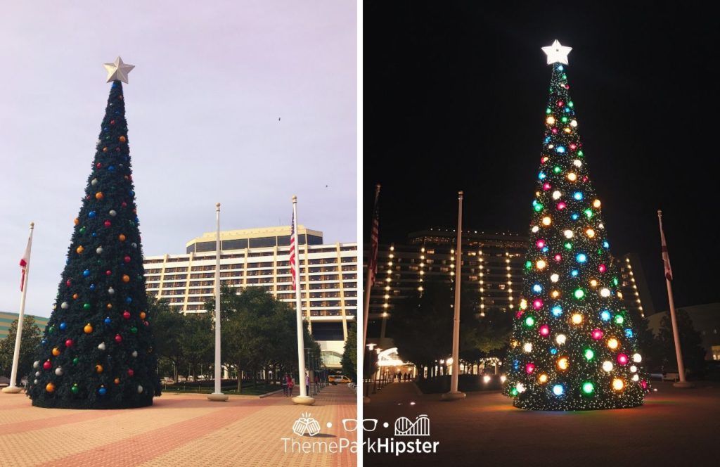 Contemporary Resort Large Christmas Tree Outside. One of the best things to Do at Disney World for Christmas. Keep reading to learn about the best Disney Christmas trees!
