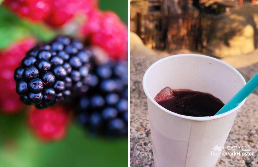 Boysenberries next to Boysenberry Punch at Knott's Berry Farm in California. Keep reading to get the best food at Knott's Berry Farm and the best things to eat.